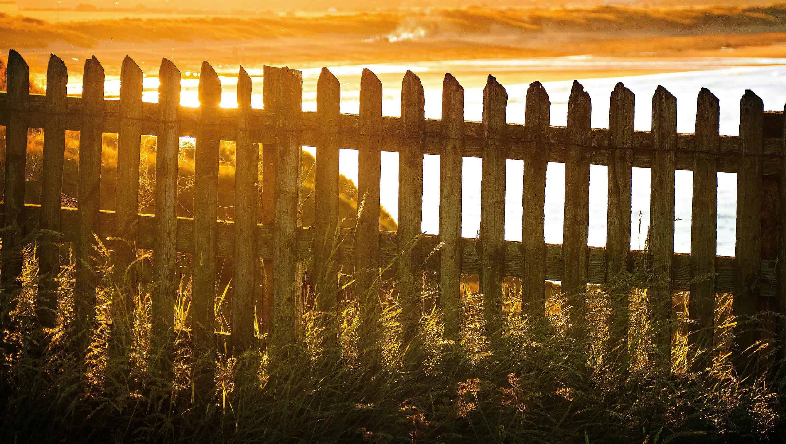 Brown Wooden Fence Near Body of Water